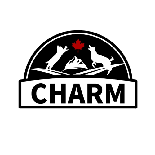 Charm 野性魅力